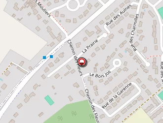 Carte de Vintejoux Patrick à Salouël