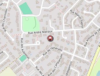 Carte de Roux Patrick à Salouël