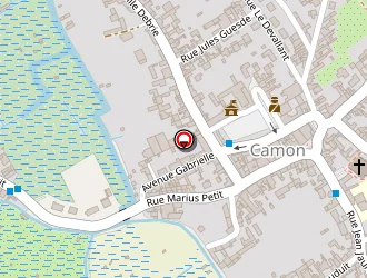 Carte de Delory Francine à Camon