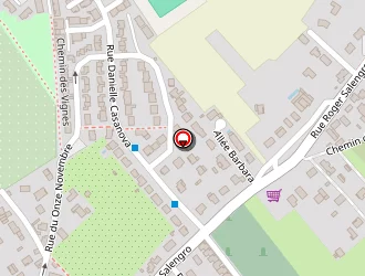 Carte de Roucou Céline à Camon