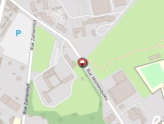 Carte de Flamant Dominique à Amiens