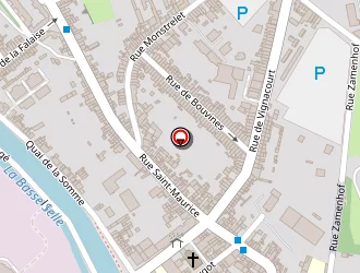 Carte de Camille Salame à Amiens