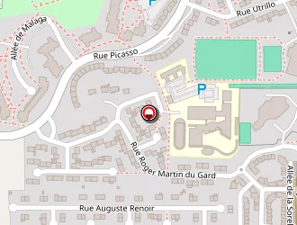 Carte de Salek Mohamed à Amiens