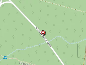 Carte de Du Regain à Saint-michel