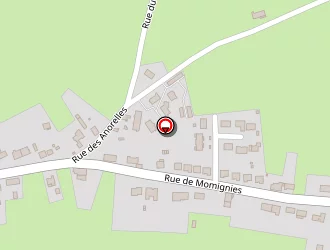 Carte de Fortune Fernand à Anor