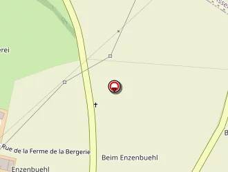 Carte de Almeida Marco Igor à Riedseltz