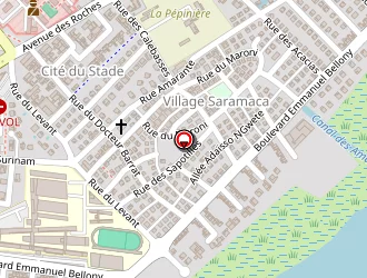 Carte de Lemki General Store à Kourou