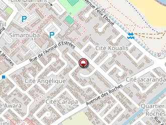 Carte de Chesneau Patrick à Kourou