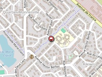 Carte de Alamelama Eric à Kourou