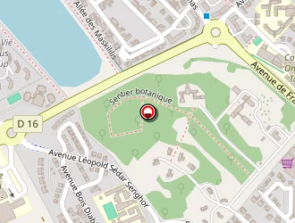 Carte de Leneus Emile à Kourou