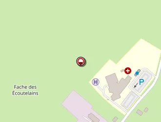 Carte de Sas Morisaux Scierie à Wignehies