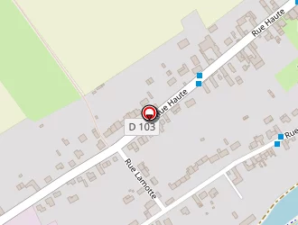 Carte de Dessaint Sylvie à Rues-des-vignes (les)