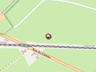 Carte de Etat Parasitaire Diagnostic Mérules à Bazuel