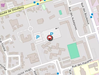 Carte de Abaca Services à Abbeville