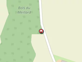 Carte de Brasseur (earl) à Meillard (le)