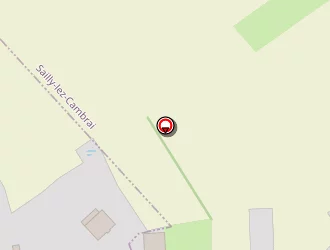 Carte de Taxi Baumgartner Eric à Sailly-lez-cambrai