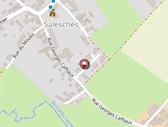 Carte de Piana Patrick à Salesches