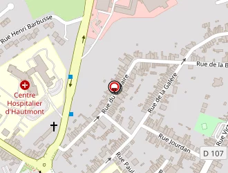 Carte de Dufour Raphaël à Hautmont