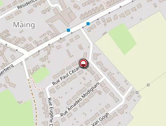 Carte de Bissiau Caroline à Maing