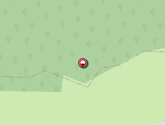 Carte de Transport Service à Feignies