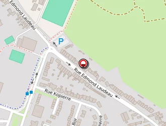 Carte de Zidane Leïla à Aniche