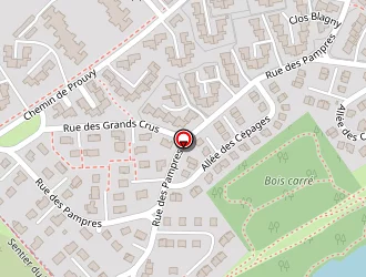 Carte de Mathieu Philippe Menuiserie à Sentinelle (la)