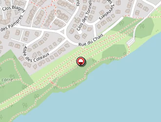 Carte de Panier Liberté à Valenciennes