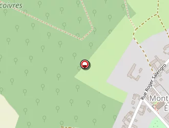 Carte de Videlaine Frédéric à Mont-saint-éloi