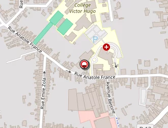 Carte de Lannoye Jean-bernard à Somain