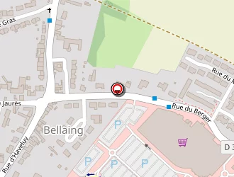 Carte de Hettmann Camille à Bellaing