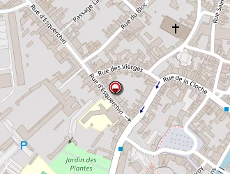 Carte de Lannoy Fabien à Douai