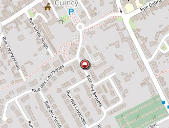 Carte de Show Bees à Cuincy