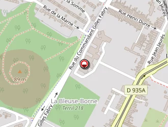 Carte de Taxi 421 à Anzin