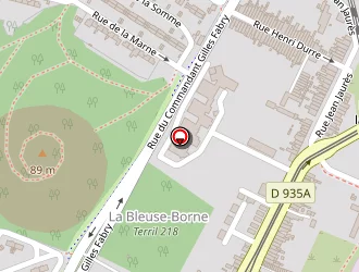 Carte de La Bleuse Borne à Anzin