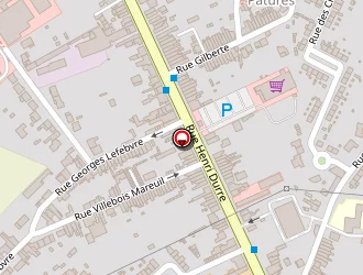 Carte de Paris Fleur à Raismes