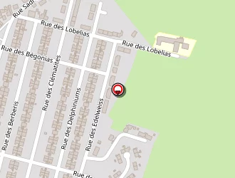 Carte de Jallali Rachid à Lallaing