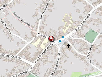 Carte de Petite Fleur à Waziers