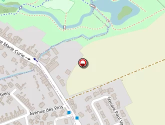 Carte de Cat' Pattes à Douai