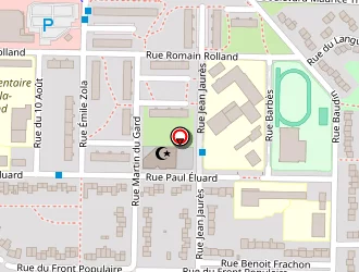 Carte de Reflex Foto à Avion