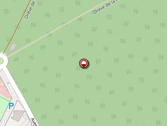 Carte de Pure Aventure à Raismes