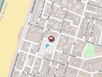 Carte de Bonobo à Berck sur mer