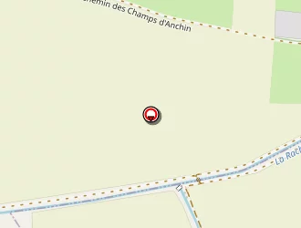 Carte de Delmotte Nicolas à Douai