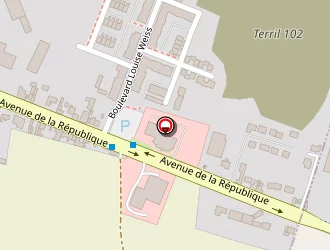 Carte de Dlc Restauration à Noyelles-godault