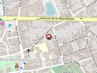 Carte de Zawiska Nicolas à Billy-montigny