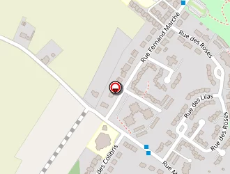 Carte de Perlin Anthony à Bully-les-mines