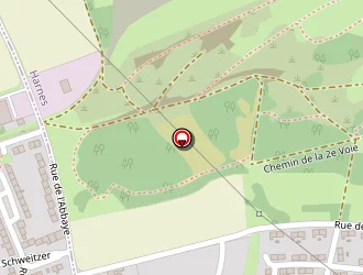 Carte de Thierry Lothmann à Loison-sous-lens