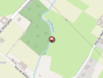 Carte de Wacrenier (ets) à Tourmignies