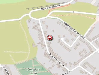 Carte de Leau Véronique à Divion