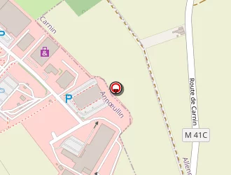 Carte de Abellis à Carnin