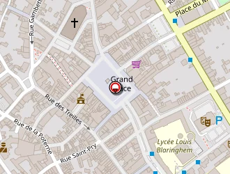 Carte de Chrys'fleurs à Béthune